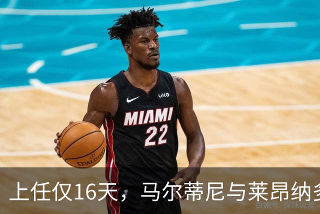 上任仅16天，马尔蒂尼与莱昂纳多辞去意大利足协职务