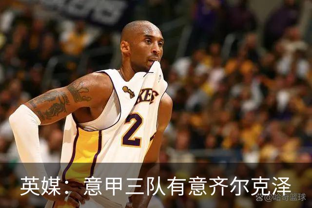 英媒：意甲三队有意齐尔克泽